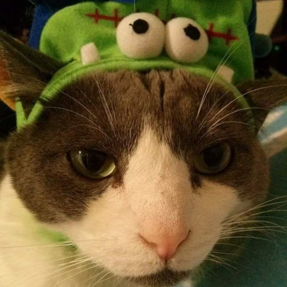 MTP - Picture 3 of 5